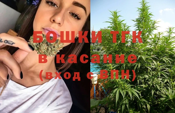 PSILOCYBIN Баксан