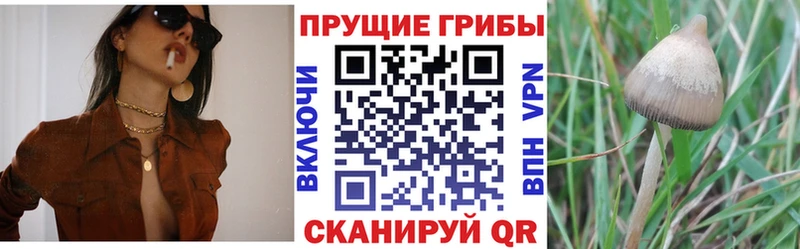 Псилоцибиновые грибы мицелий  мориарти Telegram  Ногинск 