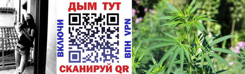 Шишки марихуана Ganja  как найти закладки  Ногинск 